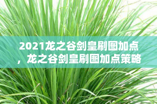2021龙之谷剑皇刷图加点，龙之谷剑皇刷图加点策略详解—成为顶尖玩家的秘诀