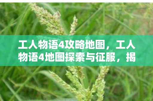 工人物语4攻略地图,工人物语4地图探索与征服,揭秘游戏地图的无限可能 工人物语4攻略地图,工人物语4地图探索与征服,揭秘游戏地图的无限可能