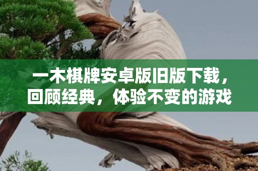 一木棋牌安卓版旧版下载图片