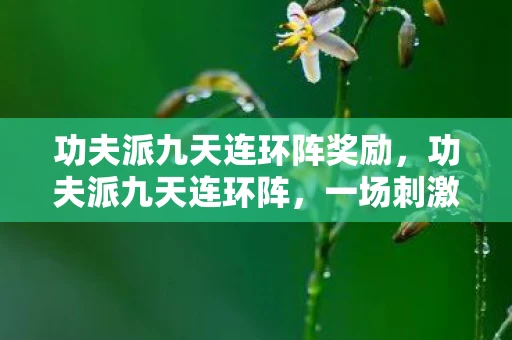 功夫派九天连环阵奖励，功夫派九天连环阵，一场刺激的冒险之旅全面解析