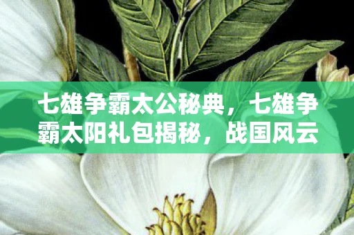 七雄争霸太公秘典，七雄争霸太阳礼包揭秘，战国风云再起