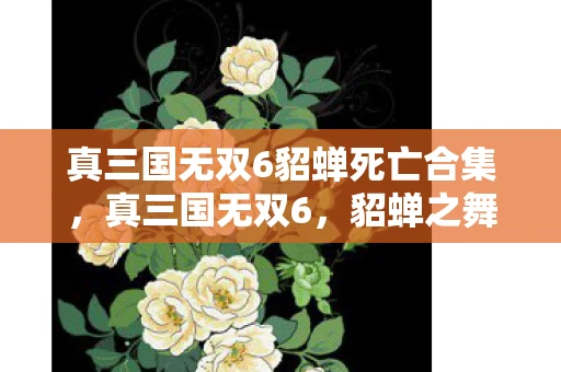 真三国无双6貂蝉死亡合集,真三国无双6,貂蝉之舞,乱世中的绝代佳人 真三国无双6貂蝉死亡合集,真三国无双6,貂蝉之舞,乱世中的绝代佳人