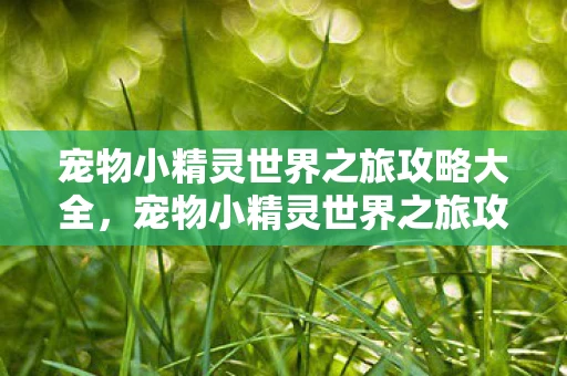 宠物小精灵世界之旅攻略大全，宠物小精灵世界之旅攻略，全面指南与探险秘籍