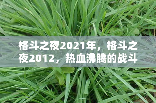 格斗之夜2021年，格斗之夜2012，热血沸腾的战斗盛宴资讯频道