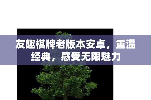 友趣棋牌老版本安卓，重温经典，感受无限魅力