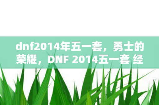 dnf2014年五一套，勇士的荣耀，DNF 2014五一套 经典再现，追忆地下城与勇士的光辉岁月