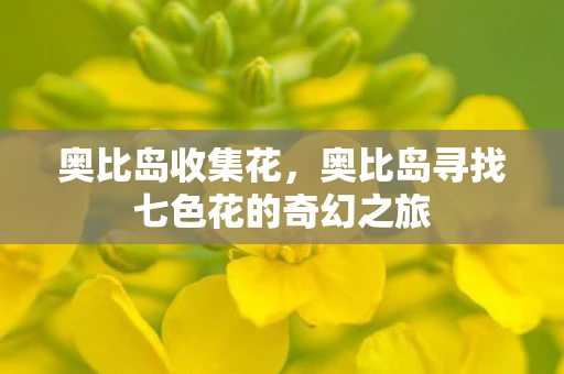 奥比岛收集花，奥比岛寻找七色花的奇幻之旅