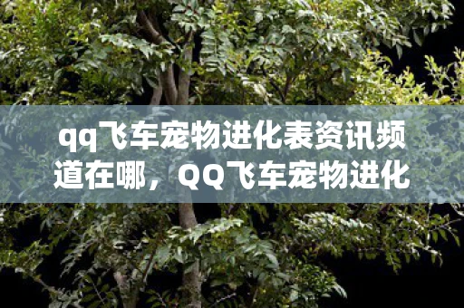 qq飞车宠物进化表资讯频道在哪，QQ飞车宠物进化表全面解析，你的极速伙伴成长指南