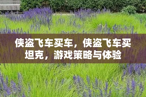 侠盗飞车买车，侠盗飞车买坦克，游戏策略与体验