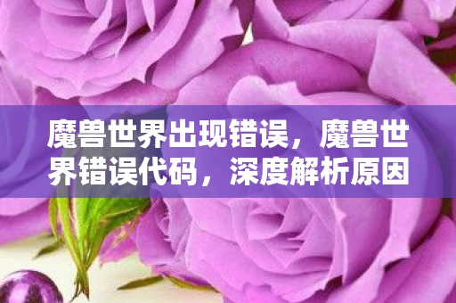 魔兽世界出现错误，魔兽世界错误代码，深度解析原因与解决方法