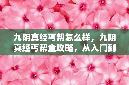 九阴真经丐帮怎么样,九阴真经丐帮全攻略,从入门到精通 九阴真经丐帮怎么样,九阴真经丐帮全攻略,从入门到精通