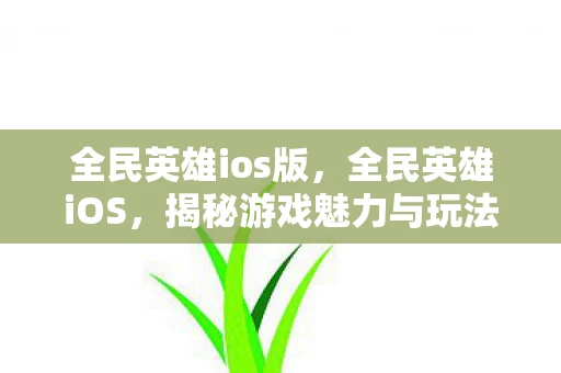 全民英雄ios版，全民英雄iOS，揭秘游戏魅力与玩法攻略