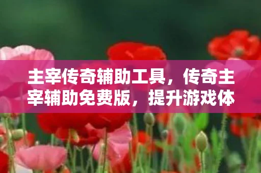 主宰传奇辅助工具，传奇主宰辅助免费版，提升游戏体验，助力登顶巅峰