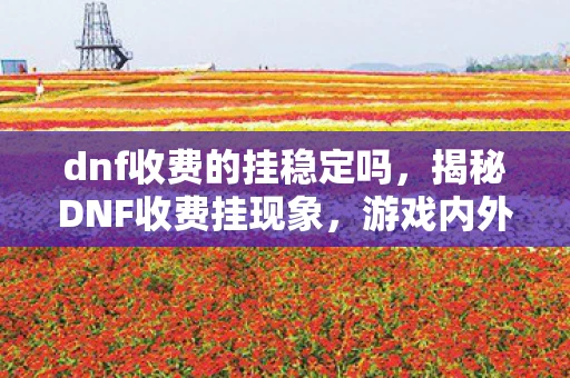 dnf收费的挂稳定吗，揭秘DNF收费挂现象，游戏内外的挑战与应对