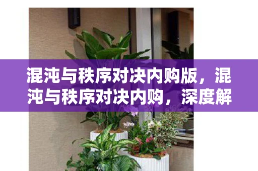 混沌与秩序对决内购版,混沌与秩序对决内购,深度解析与游戏内体验 混沌与秩序对决内购版,混沌与秩序对决内购,深度解析与游戏内体验