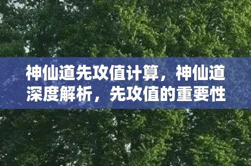 神仙道先攻值计算,神仙道深度解析,先攻值的重要性与策略 神仙道先攻值计算,神仙道深度解析,先攻值的重要性与策略