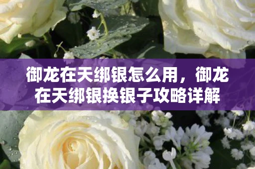 御龙在天绑银怎么用,御龙在天绑银换银子攻略详解 御龙在天绑银怎么用,御龙在天绑银换银子攻略详解