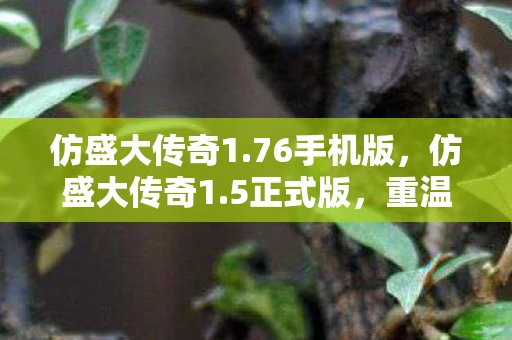 仿盛大传奇1.76手机版，仿盛大传奇1.5正式版，重温经典，再现热血传奇