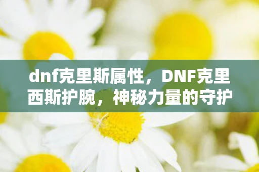 dnf克里斯属性，DNF克里西斯护腕，神秘力量的守护者