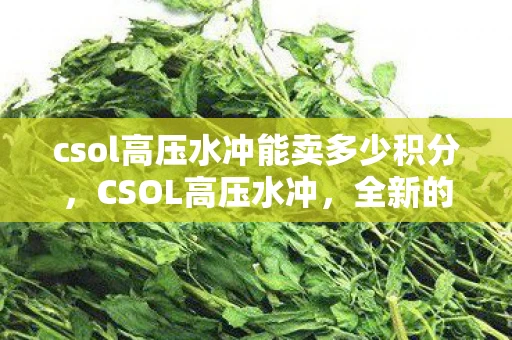 csol高压水冲能卖多少积分，CSOL高压水冲，全新的游戏体验