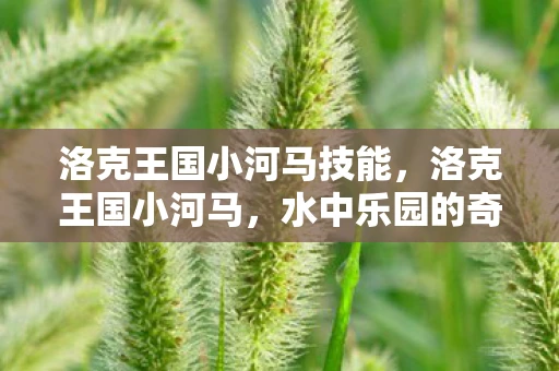 洛克王国小河马技能,洛克王国小河马,水中乐园的奇幻冒险 洛克王国小河马技能,洛克王国小河马,水中乐园的奇幻冒险