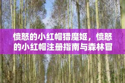 愤怒的小红帽猎魔姬，愤怒的小红帽注册指南与森林冒险记精彩资讯揭秘