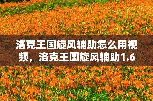 洛克王国旋风辅助怎么用视频,洛克王国旋风辅助1.6,游戏中的得力助手 洛克王国旋风辅助怎么用视频,洛克王国旋风辅助1.6,游戏中的得力助手