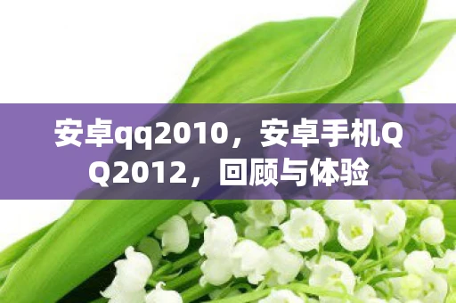 安卓qq2010，安卓手机QQ2012，回顾与体验