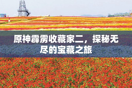 探秘无尽的宝藏之旅图片