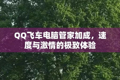 QQ飞车电脑管家加成图片