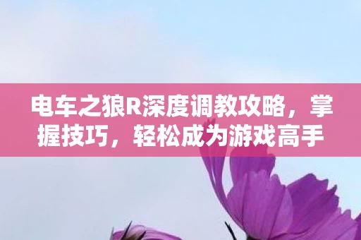 电车之狼R深度调教攻略图片