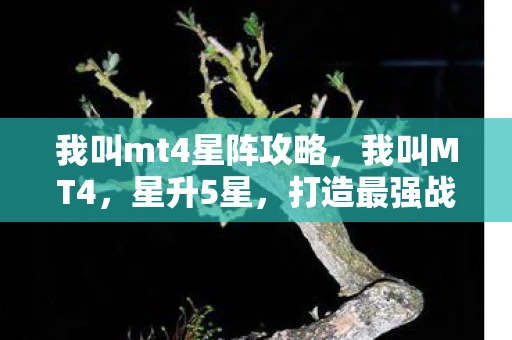 我叫mt4星阵攻略，我叫MT4，星升5星，打造最强战队