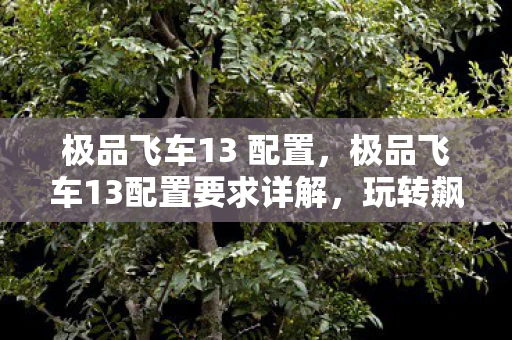 极品飞车13 配置，极品飞车13配置要求详解，玩转飙车之旅的硬件配置全解析