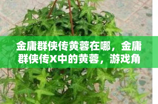 金庸群侠传黄蓉在哪，金庸群侠传X中的黄蓉，游戏角色与剧情深度分析