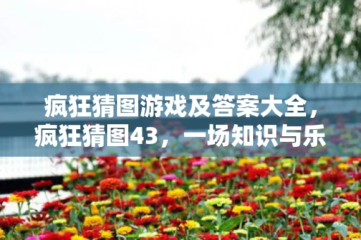 疯狂猜图游戏及答案大全，疯狂猜图43，一场知识与乐趣的碰撞