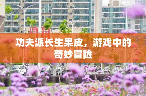 功夫派长生果皮,游戏中的奇妙冒险 功夫派长生果皮,游戏中的奇妙冒险