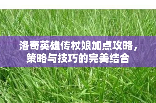 洛奇英雄传杖娘加点攻略图片