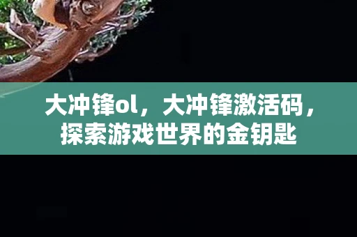 大冲锋ol,大冲锋激活码,探索游戏世界的金钥匙 大冲锋ol,大冲锋激活码,探索游戏世界的金钥匙