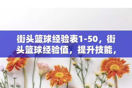 街头篮球经验表1-50，街头篮球经验值，提升技能，掌控球场