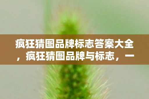 疯狂猜图品牌标志答案大全,疯狂猜图品牌与标志,一场图片与记忆的较量 疯狂猜图品牌标志答案大全,疯狂猜图品牌与标志,一场图片与记忆的较量