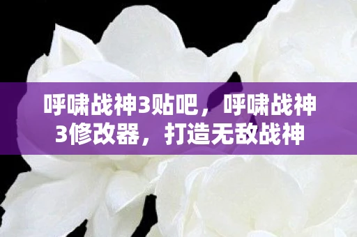 呼啸战神3贴吧，呼啸战神3修改器，打造无敌战神
