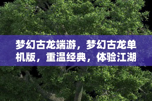 梦幻古龙端游,梦幻古龙单机版,重温经典,体验江湖风云 梦幻古龙端游,梦幻古龙单机版,重温经典,体验江湖风云