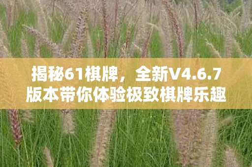 揭秘61棋牌，全新V4.6.7版本带你体验极致棋牌乐趣