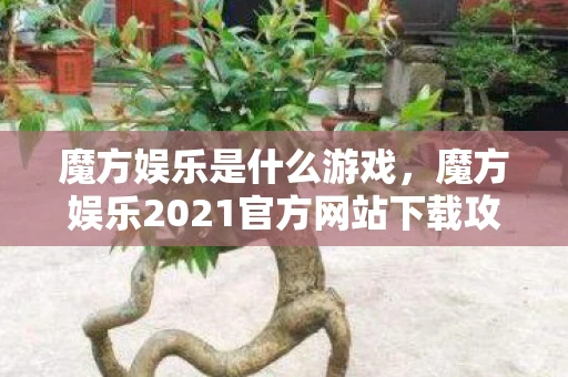 魔方娱乐是什么游戏,魔方娱乐2021官方网站下载攻略 魔方娱乐是什么游戏,魔方娱乐2021官方网站下载攻略