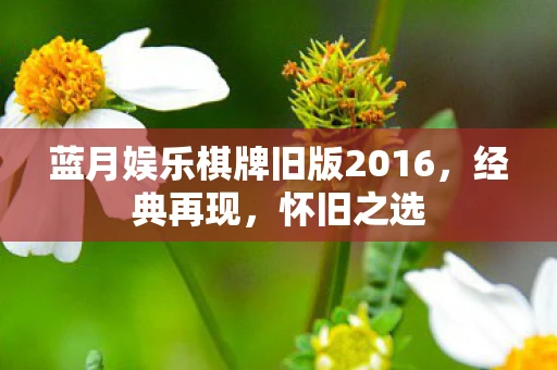 蓝月娱乐棋牌旧版2016，经典再现，怀旧之选