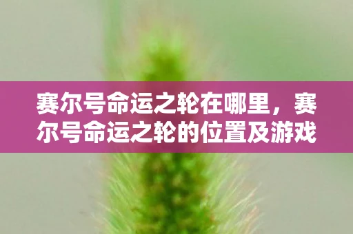 赛尔号命运之轮在哪里,赛尔号命运之轮的位置及游戏特色分析 赛尔号命运之轮在哪里,赛尔号命运之轮的位置及游戏特色分析
