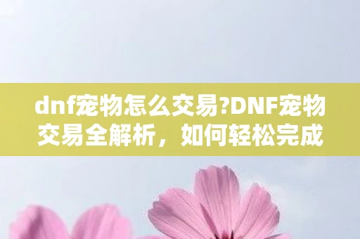 dnf宠物怎么交易?DNF宠物交易全解析,如何轻松完成宠物交易? dnf宠物怎么交易?DNF宠物交易全解析,如何轻松完成宠物交易?
