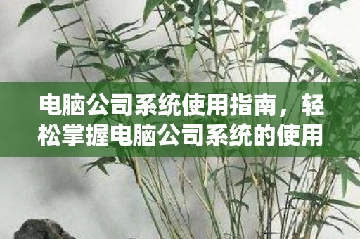 轻松掌握电脑公司系统的使用方法图片