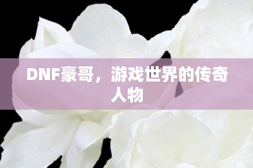 DNF豪哥,游戏世界的传奇人物 DNF豪哥,游戏世界的传奇人物