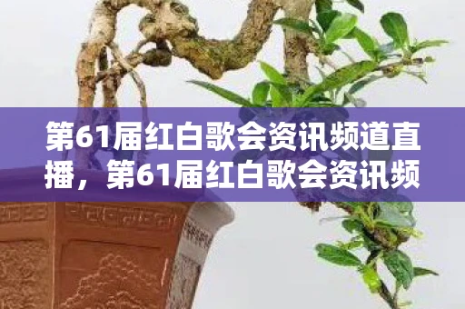 第61届红白歌会资讯频道直播，第61届红白歌会资讯频道—一场音乐的盛宴